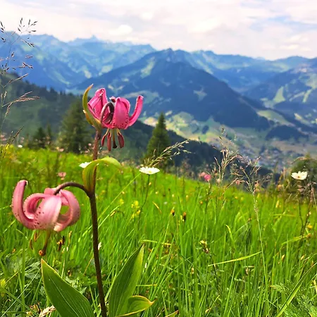 公寓式酒店 Kleinwalsertal 3*