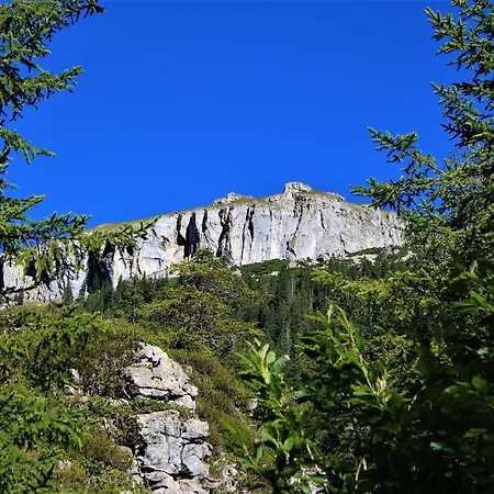 아파트호텔 Kleinwalsertal
