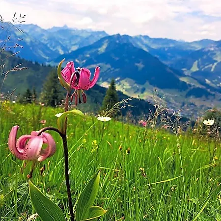 Apartahotel Kleinwalsertal Riezlern