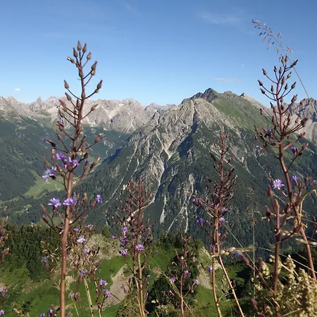 Kleinwalsertal 3*